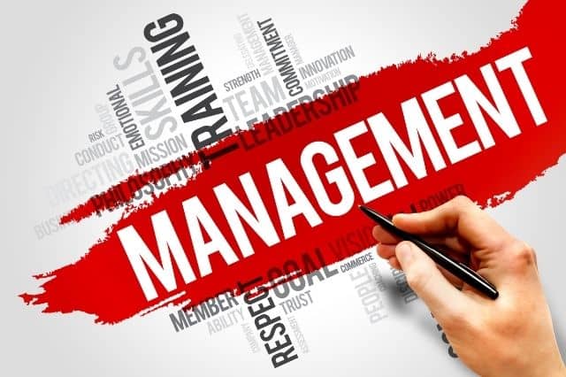 Saegis: Faculty of Management , Humanities and social science
