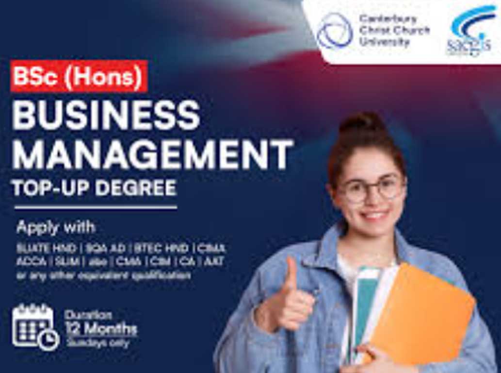 Saegis: Department of Management