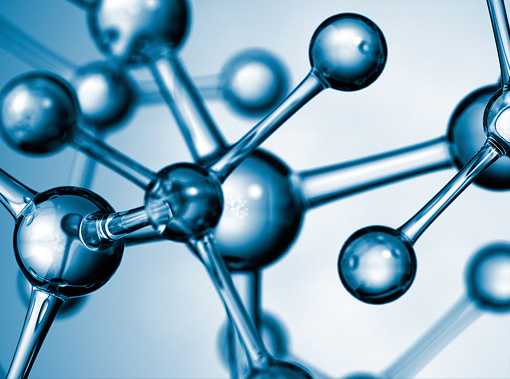 Saegis: Department of Management