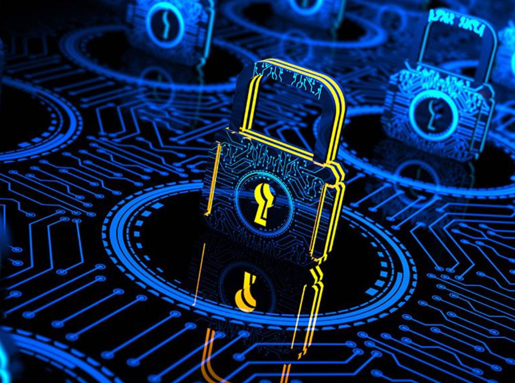 Saegis: Department of Management