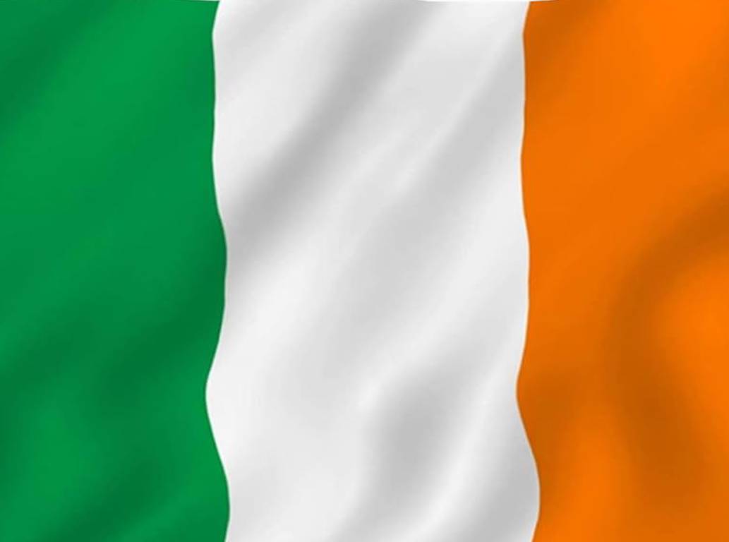 Saegis: Department of Management